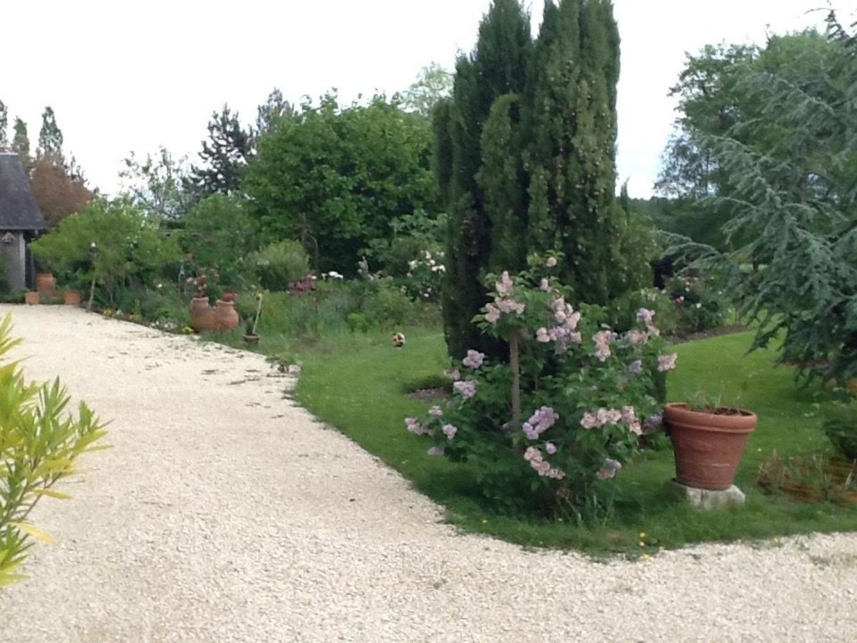 Chambre D'Hotes Bleue A Azay-Le-Ferron - Fr-1-591-452 Bed and Breakfast Buitenkant foto