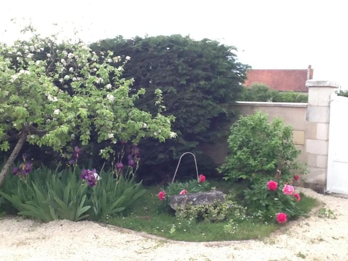 Chambre D'Hotes Bleue A Azay-Le-Ferron - Fr-1-591-452 Bed and Breakfast Buitenkant foto